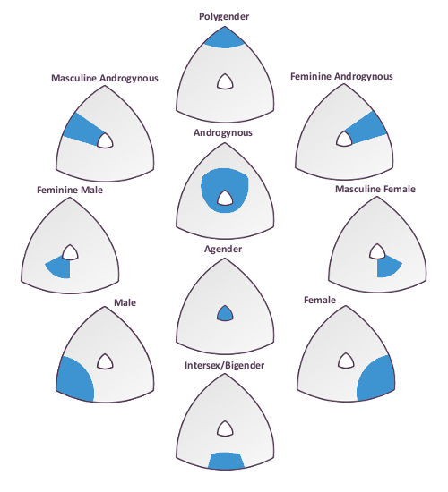 The selector can identify a wide variety of genders independently giving freedom to the degree of strength of the identification.